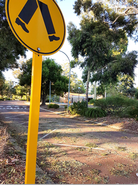 Watch your step! A campus roadway covered in cockatoo “droppings”.